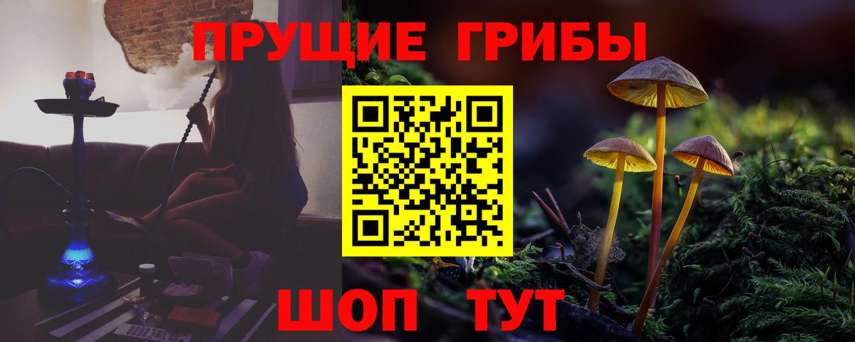 Псилоцибиновые грибы мухоморы  Псилоцибиновые грибы MAGIC MUSHROOMS  Великий Устюг  где купить наркоту  Вход с VPN 
